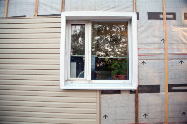 Best Vinyl Siding Installation  in USA